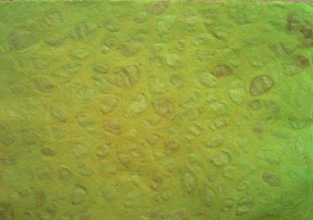 Indipaper - green benjamin (green benjamin)
